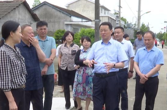 鼎城区政协开展农村人居环境整治专题视察
