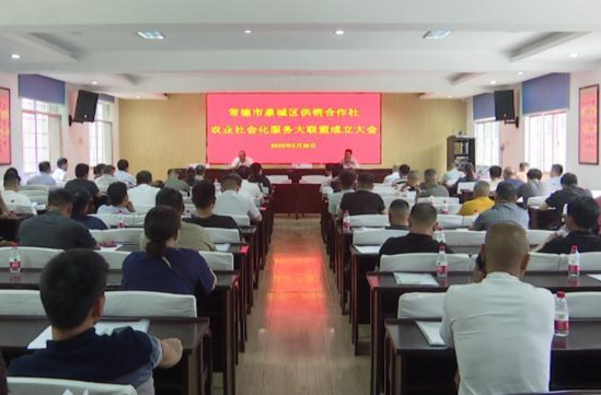 鼎城区供销合作社农业社会化服务大联盟成立