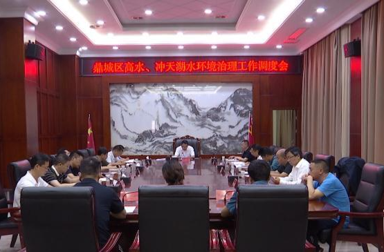 陈远专题调度鼎城区高水、冲天湖水环境治理工作