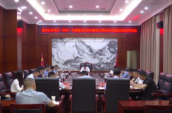陈远主持召开省田长办交办“两非”问题暨自然资源督察反馈典型问题整改推进约谈会