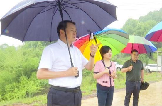 雷建国带队深入部分乡镇检查防汛抗旱工作