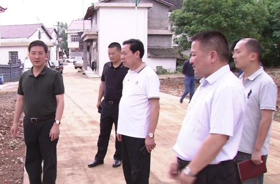 朱金平：不折不扣抓落实 提速谢家铺全域乡村振兴示范片建设