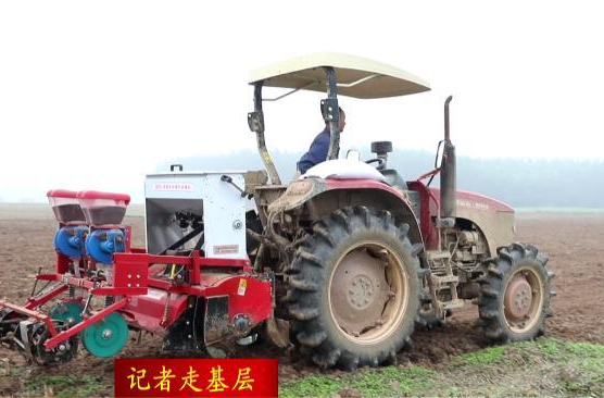 鼎城：推广直播短季棉  节本增效助农增收