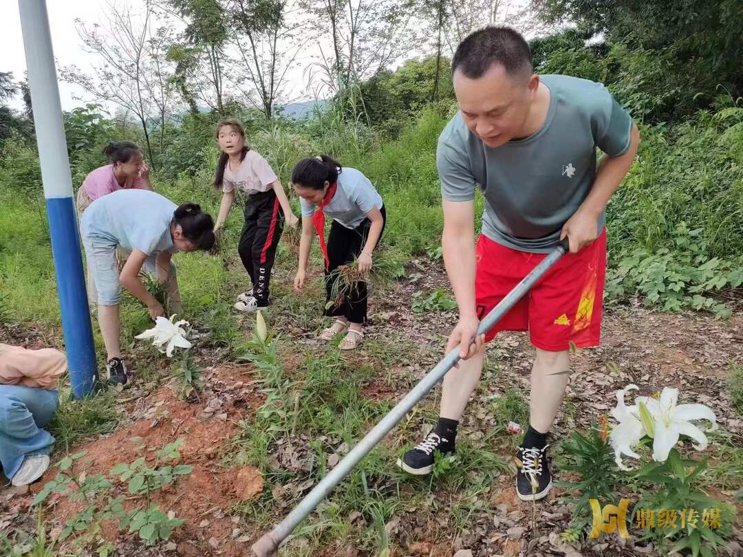 鼎城区双桥坪中学：开辟劳动实践基地 加强学生劳动教育