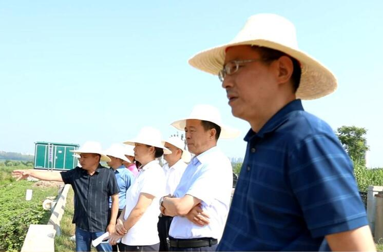 市、区政协联动开展专项民主监督 视察冲天湖水质污染治理工作