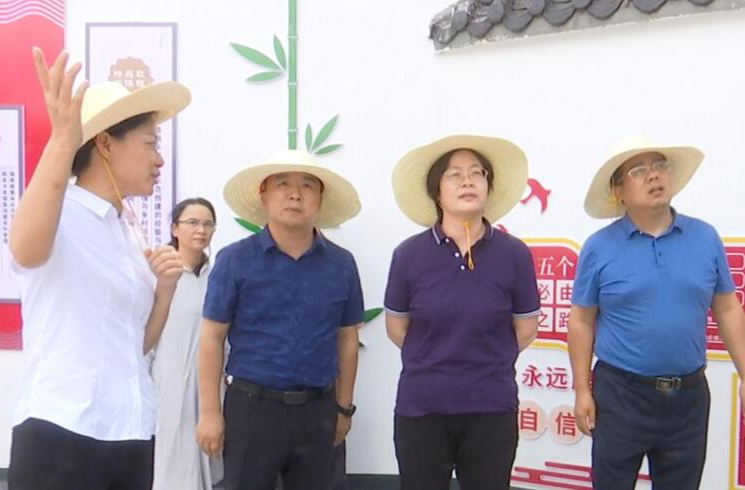 全省衔接资金项目资产及金融帮扶业务培训班来鼎城观摩