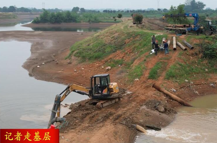 【记者走基层】镇德桥镇：四级提水保夏粮