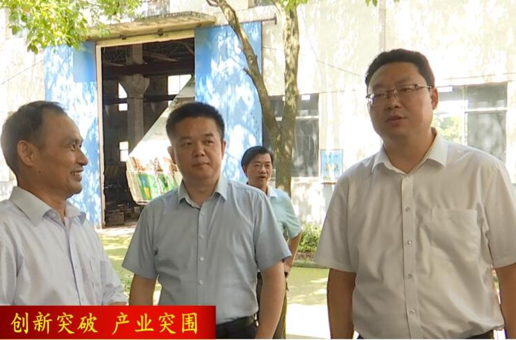 陈远到桥南工业园开展调研