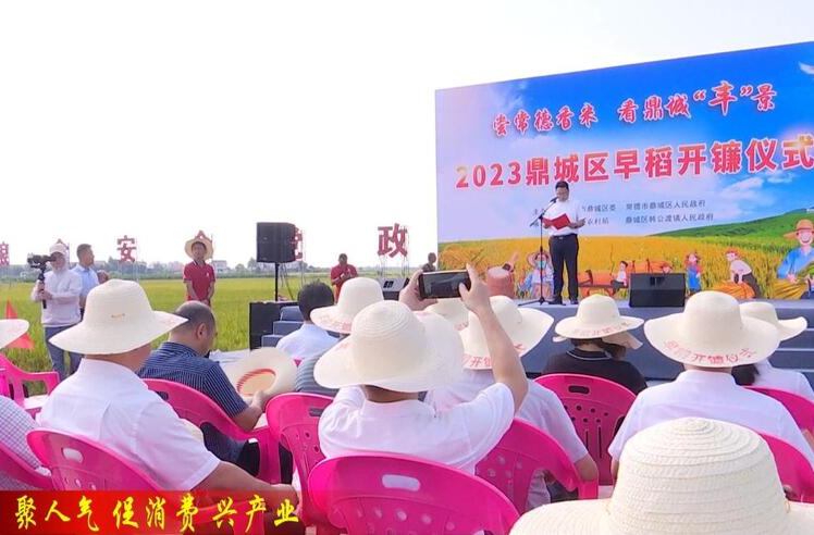 鼎城：2023年早稻开镰仪式举行