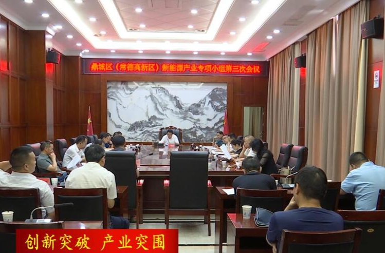 陈远主持召开鼎城（常德高新区）新能源产业专项小组第三次会议