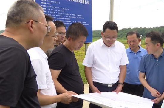 陈远调研抗旱和晚稻生产工作