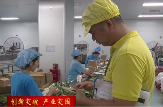 【创新突破  产业突围】常德高新区“十佳”优秀产业工人·周忠杰：创新管理   增产增效