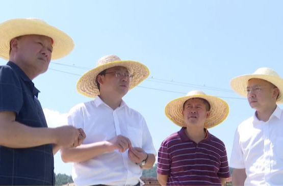 陈远督导防旱抗旱工作