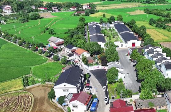 谢家铺镇向家巷村获评2022年度“省级美丽乡村示范村”