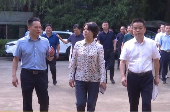 鼎城区人大常委会组成人员视察桥南工业园建设情况
