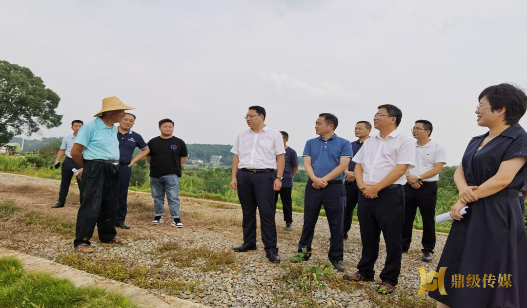陈远实地督导生态环境突出问题整改、秸秆禁烧和秸秆综合利用工作