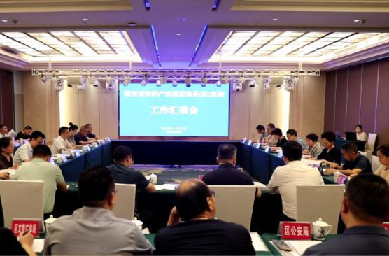 鼎城：迎接省知识产权建设强县复核验收