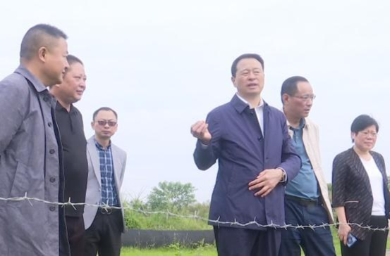 雷建国调研冲柳水环境治理工作