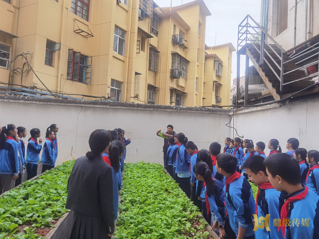 鼎城区武陵小学：享劳动之乐  悟劳动之美