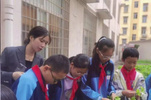 武陵小学：开展劳动实践活动