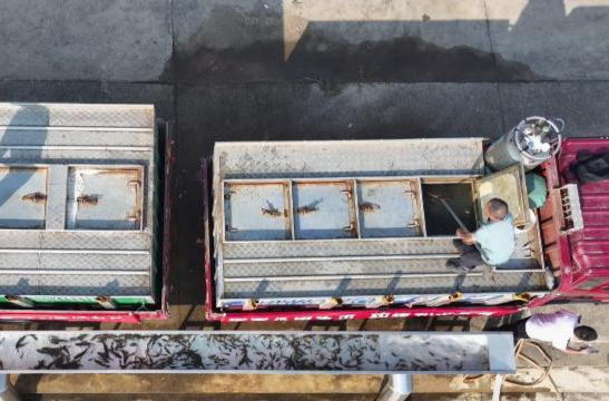 鼎城：开展2023年人工增殖放流活动