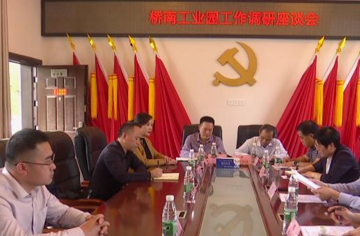 雷建国调研桥南工业园升级改造工作