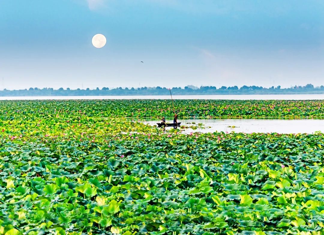 沿江风光美 (沅江风光带)宋亮 摄三桥映辉 (桃花大桥) 陈爱明 摄乡村
