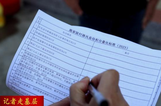 【记者走基层】谢家铺镇施家陂村：“小积分”推动“大治理”