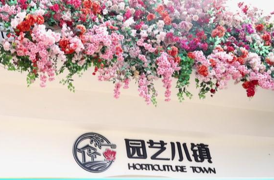 鼎城区园艺小镇拟入选2023年湖南省五星级乡村旅游区（点）名单