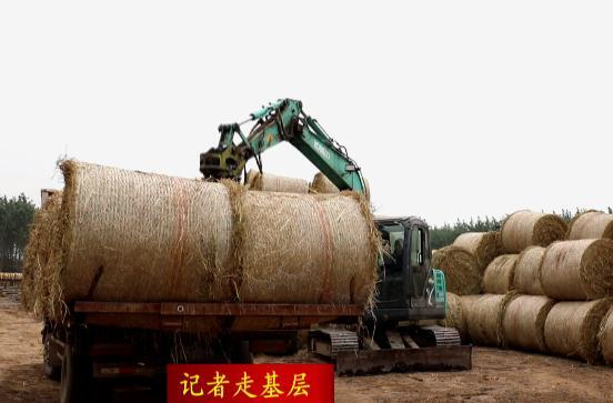 ​【记者走基层】中旺环保科技:废料变燃料    环保又增收