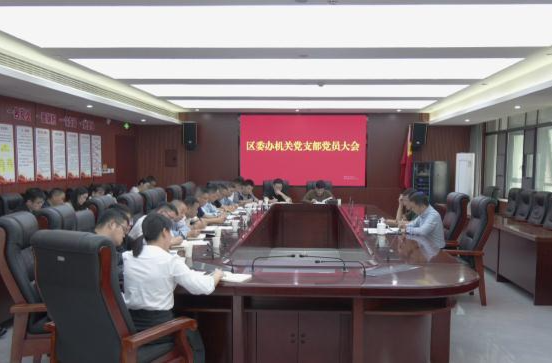 朱金平为区委办机关党支部党员上党课并开展志愿服务活动