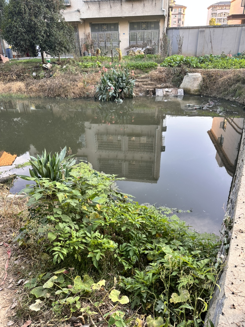 臭水沟影响日常生活
