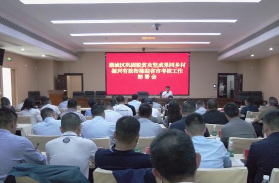 朱金平：抓实抓细当前重点工作 全力收好官结好账