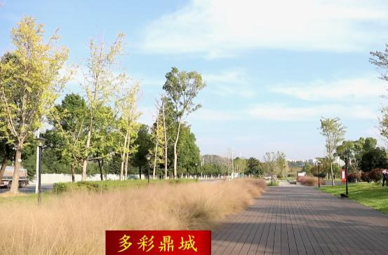 【 多彩鼎城】 善卷公园 ：一抹粉黛入秋色
