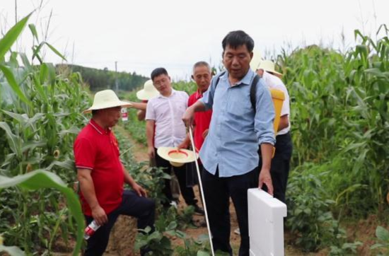 鼎城：主题教育走基层  件件实事暖民心