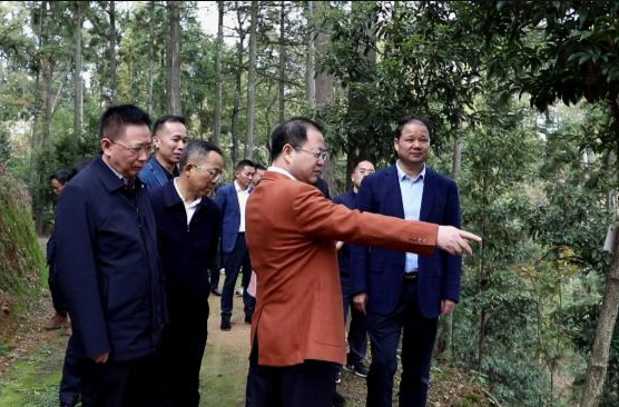 周振宇来鼎城调研督导森林防灭火工作