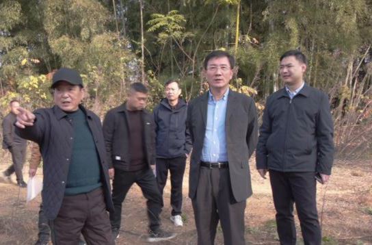 朱金平到乡镇、街道督导耕地保护工作