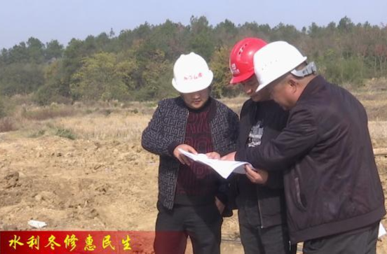 【水利冬修惠民生】蔡家岗镇：冬修水利按下“加速键”