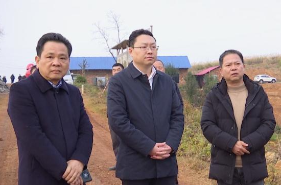 陈远到蔡家岗镇督导水利秋冬修工作