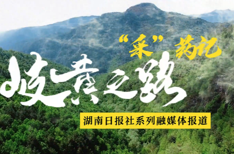 视频｜岐黄之路·“采”药记④：向云端，山那边，采药去