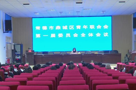 鼎城区第一届青年联合会成立