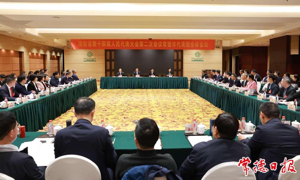 秦国文在参加常德代表团审议时指出：把自身优势转化为发展新动能 在经济高质量发展中书写新篇章