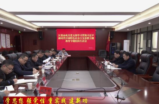 【学思想 强党性 重实践 建新功】    陈远参加鼎城区委办机关党支部主题教育专题组织生活会