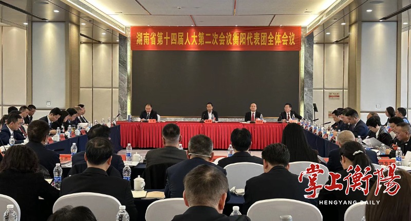 杨浩东参加衡阳市代表团审议强调：推进制造立市、推进文旅兴城，实现经济社会高质量发展