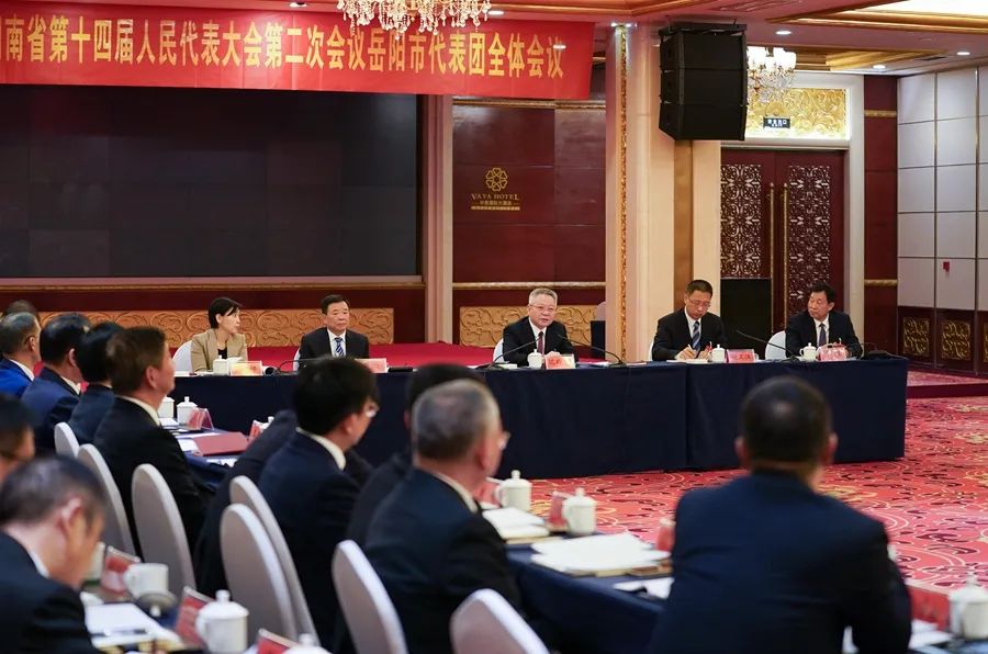 辛小湘评两会④丨省委书记参加团组审议讨论，为何频频强调这四个字