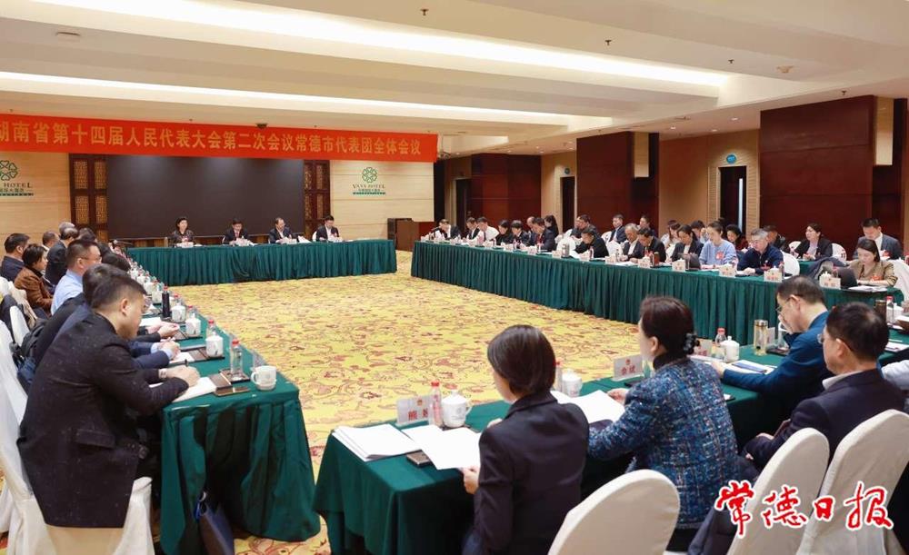 常德代表团集中审议省高院、省检察院工作报告