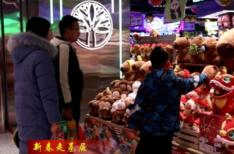 “年货经济”升温   “龙”元素商品热销