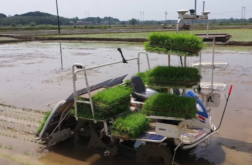 鼎城区农业农村局：锚定目标  建设农业强区