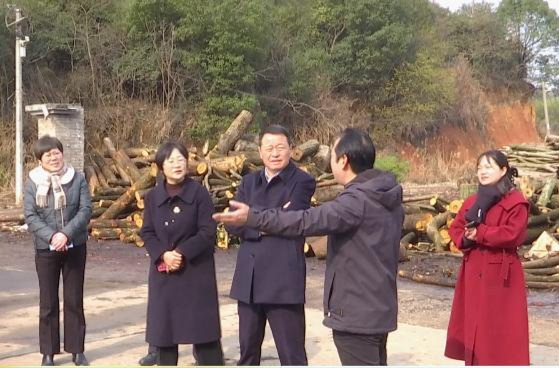 雷建国带队走访鼎城区政协委员