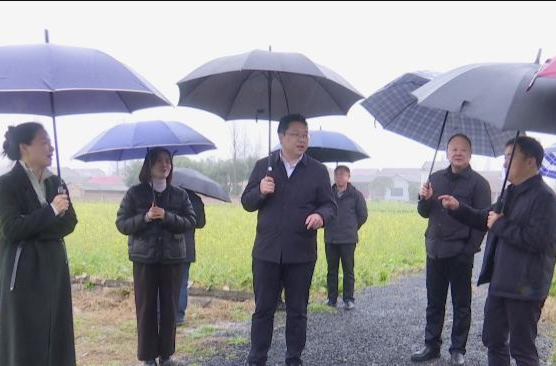 陈远督导救灾挽损和春耕备耕工作